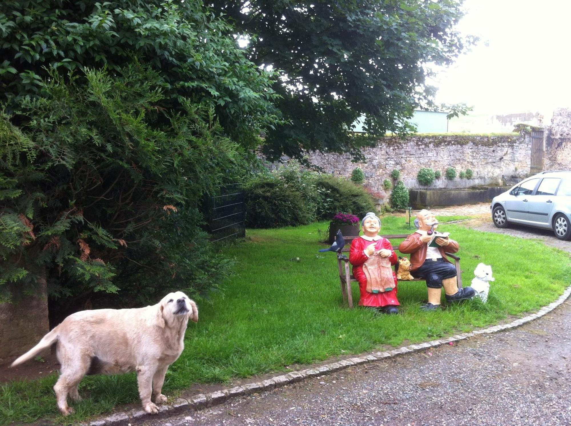 Dommartin sous Amance Ferme Du Montheu Bed & Breakfast エクステリア 写真