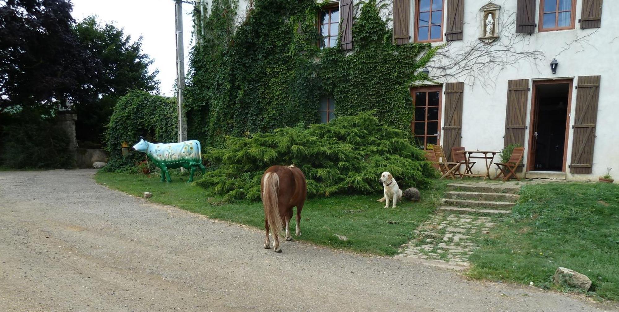 Dommartin sous Amance Ferme Du Montheu Bed & Breakfast エクステリア 写真